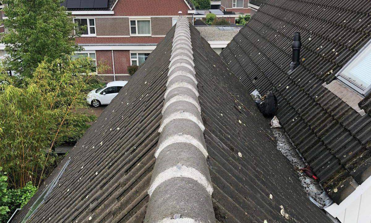 Nokvorsten Vught